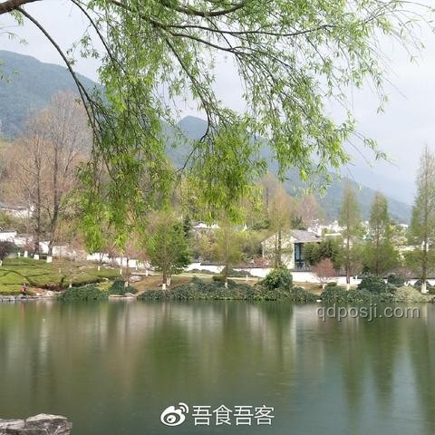北大回应与商家售卖未名湖湖水事件对比分析
